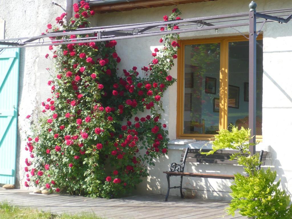 Hotel Les Garennes Saint-Uze Esterno foto